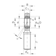 杆端轴承 GAR35-DO-2RS, 根据 DIN ISO 12 240-4 标准，带右旋外螺纹，需维护，两侧唇密封