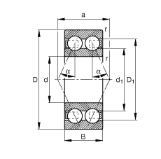 角接触球轴承 3004-B-TVH, 双列，接触角 α = 25°