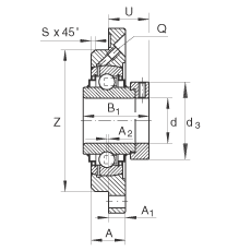 轴承座单元 RME60-N, 带四个螺栓孔的法兰的轴承座单元，定心凸出物，铸铁，偏心锁圈，R 型密封