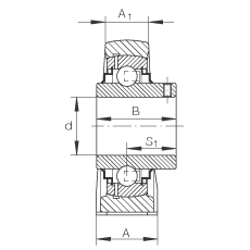 直立式轴承座单元 RASEY25-JIS, 铸铁轴承座，内圈带平头螺钉的外球面球轴承，R密封，根据 JIS 标准