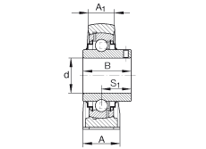 直立式轴承座单元 RASEY1-1/8, 铸铁轴承座，外球面球轴承，根据 ABMA 15 - 1991, ABMA 14 - 1991, ISO3228 内圈带有平头螺栓，R型密封，英制